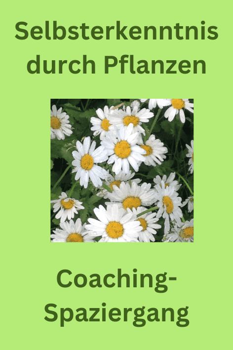 Endlich Schluss mit Angst und Unsicherheit (8)