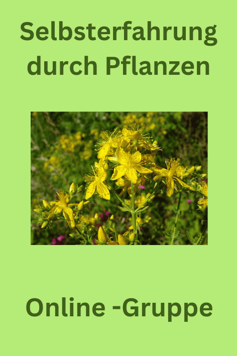 Endlich Schluss mit Angst und Unsicherheit (9)
