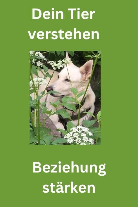 Endlich Schluss mit Angst und Unsicherheit (1)